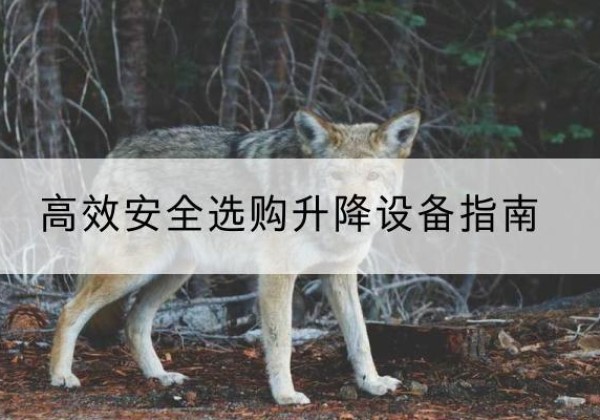 准格尔旗升降货梯厂家推荐-*安全选购升降设备指南