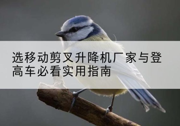 准格尔旗电动升降机厂家-选移动剪叉升降机厂家与登高车必看实用指南