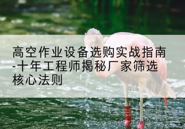 准格尔旗剪叉式升降机厂家-高空作业设备选购实战指南-十年工程师揭秘厂家筛选核心法则